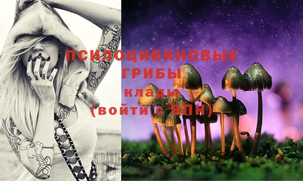 таблы Белокуриха