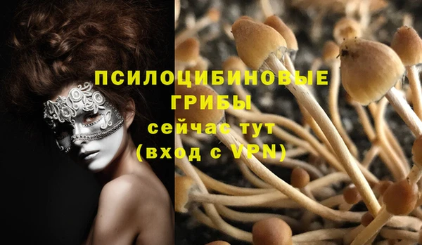 2c-b Белоозёрский